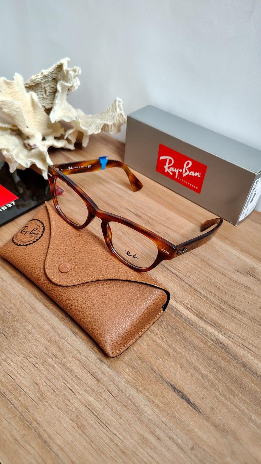 Monturas Ray Ban