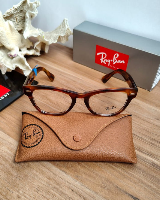 Monturas Ray Ban